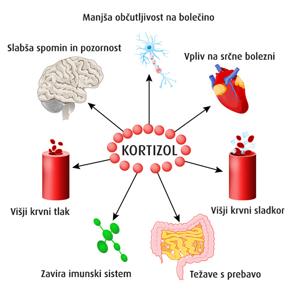 Kako Stres Vpliva Na Imunski Sistem?